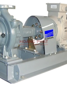 MÁY BƠM CHỮA CHÁY EBARA 200×150 FS4HA 5 11