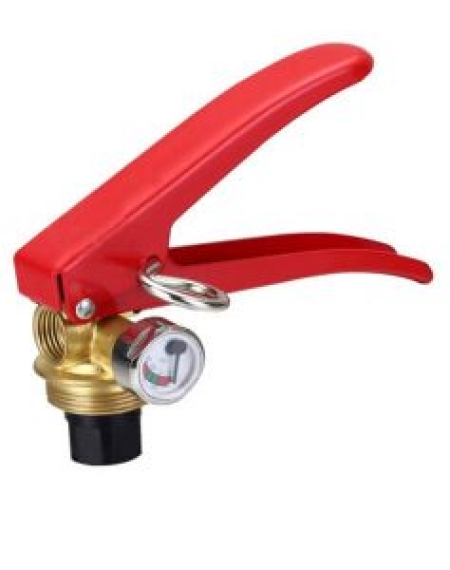 VAN ĐẦU BÌNH CHỮA CHÁY BỘT