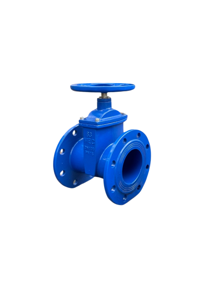 Van cổng gang ty chìm DN100 BQP